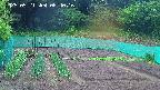 kannonmori-20250521084017.jpg