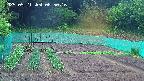 kannonmori-20250521085017.jpg