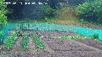 kannonmori-20250521090017.jpg