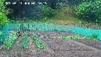 kannonmori-20250521091016.jpg
