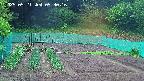kannonmori-20250521093016.jpg