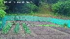 kannonmori-20250521094016.jpg