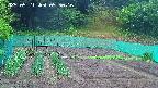 kannonmori-20250521095017.jpg