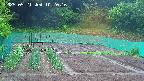 kannonmori-20250521102016.jpg