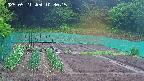kannonmori-20250521103015.jpg