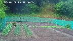 kannonmori-20250521104016.jpg