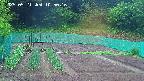 kannonmori-20250521105016.jpg