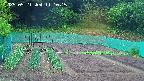 kannonmori-20250521111017.jpg