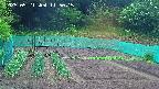 kannonmori-20250521115016.jpg