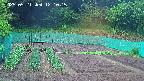kannonmori-20250521121017.jpg
