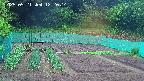 kannonmori-20250521122015.jpg
