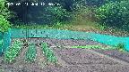 kannonmori-20250521123017.jpg