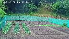 kannonmori-20250521130015.jpg