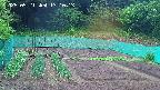 kannonmori-20250521131015.jpg