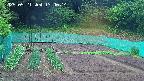 kannonmori-20250521134016.jpg