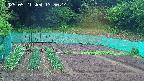 kannonmori-20250521135016.jpg