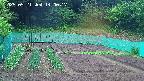 kannonmori-20250521140018.jpg