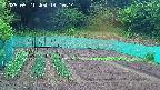 kannonmori-20250521141015.jpg