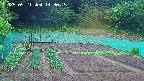 kannonmori-20250521143017.jpg