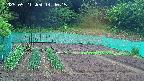 kannonmori-20250521144016.jpg