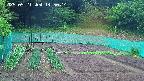 kannonmori-20250521145015.jpg
