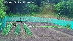 kannonmori-20250521155018.jpg