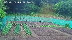 kannonmori-20250521160016.jpg