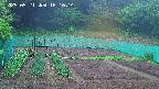 kannonmori-20250521161016.jpg