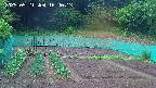 kannonmori-20250521164015.jpg