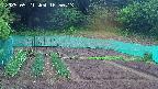 kannonmori-20250521165015.jpg