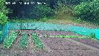 kannonmori-20250521170017.jpg