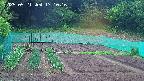 kannonmori-20250521171018.jpg