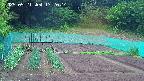 kannonmori-20250521172016.jpg