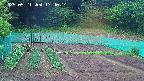 kannonmori-20250521174016.jpg
