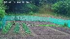 kannonmori-20250521180015.jpg