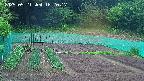 kannonmori-20250521182018.jpg