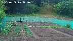 kannonmori-20250521183015.jpg