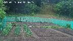 kannonmori-20250521184016.jpg