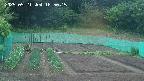 kannonmori-20250521185017.jpg