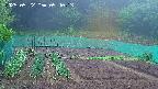 kannonmori-20250522054014.jpg