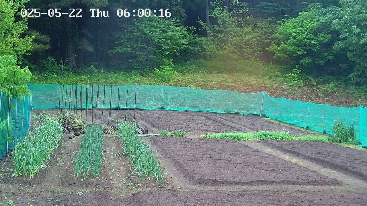 kannonmori-20250522060017.jpg