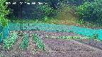 kannonmori-20250522060017.jpg