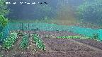 kannonmori-20250522061016.jpg