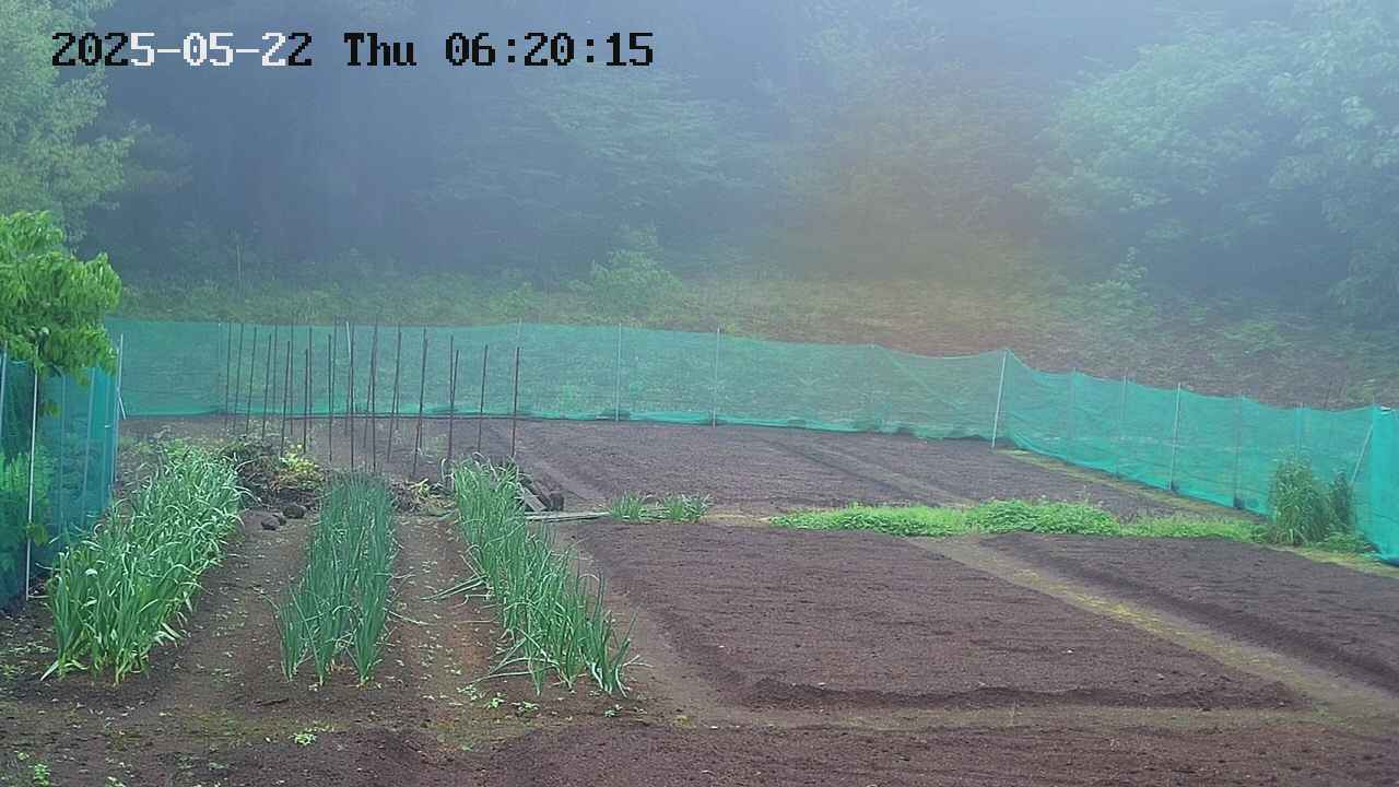 kannonmori-20250522062017.jpg