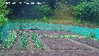 kannonmori-20250522063016.jpg