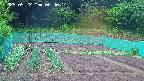 kannonmori-20250522064016.jpg