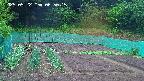kannonmori-20250522065017.jpg