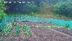 kannonmori-20250522071014.jpg