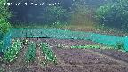 kannonmori-20250522075015.jpg