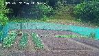 kannonmori-20250522100017.jpg